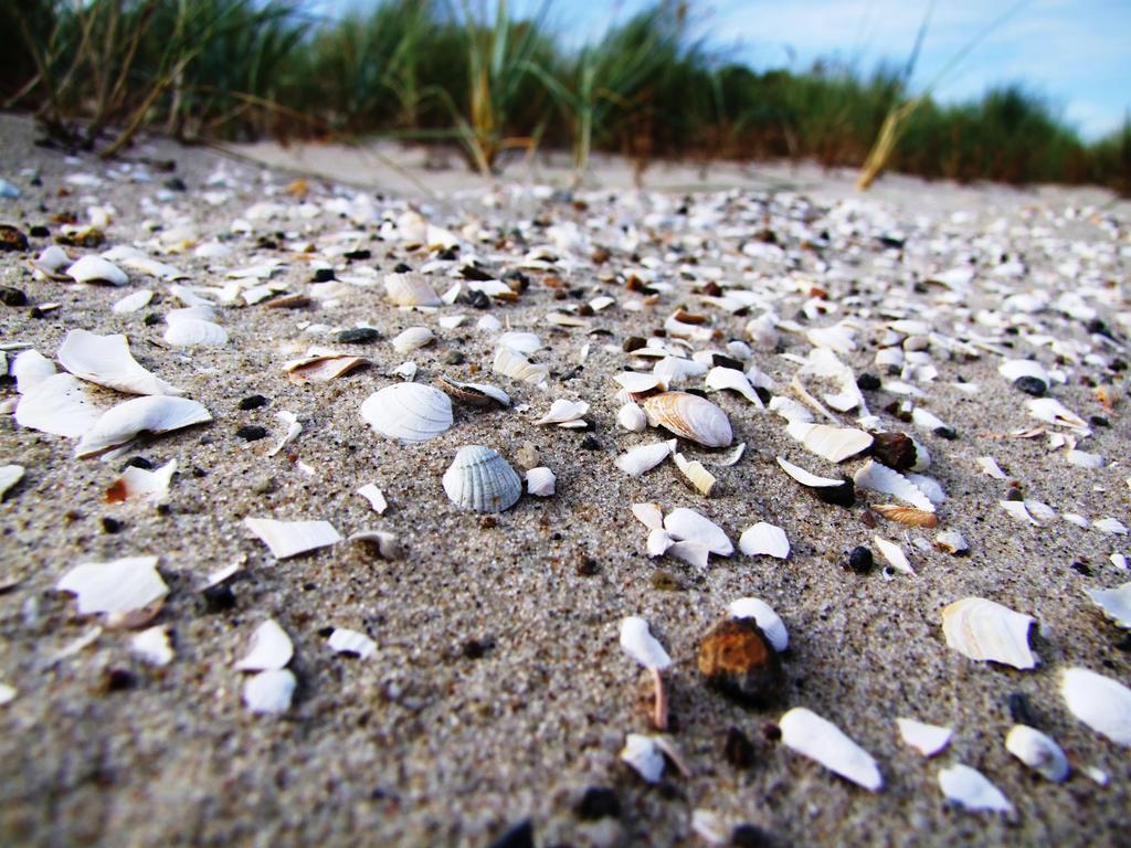 Appartamento Residenz Lausitz Graal-Mueritz Esterno foto